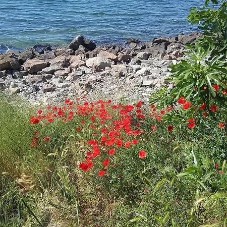 Διαμέρισμα Nessebar, South Beach, Larisa,