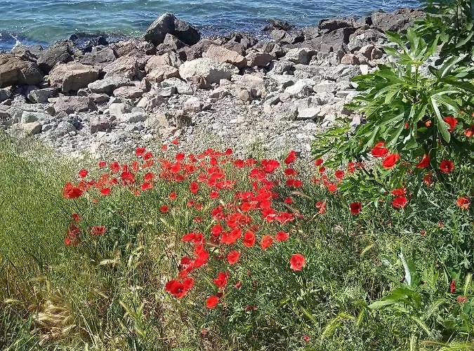 Lägenhet Nessebar, South Beach, Larisa,